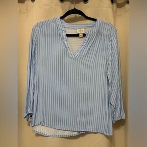 Blue Striped Shirt